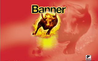 banner-logo_1